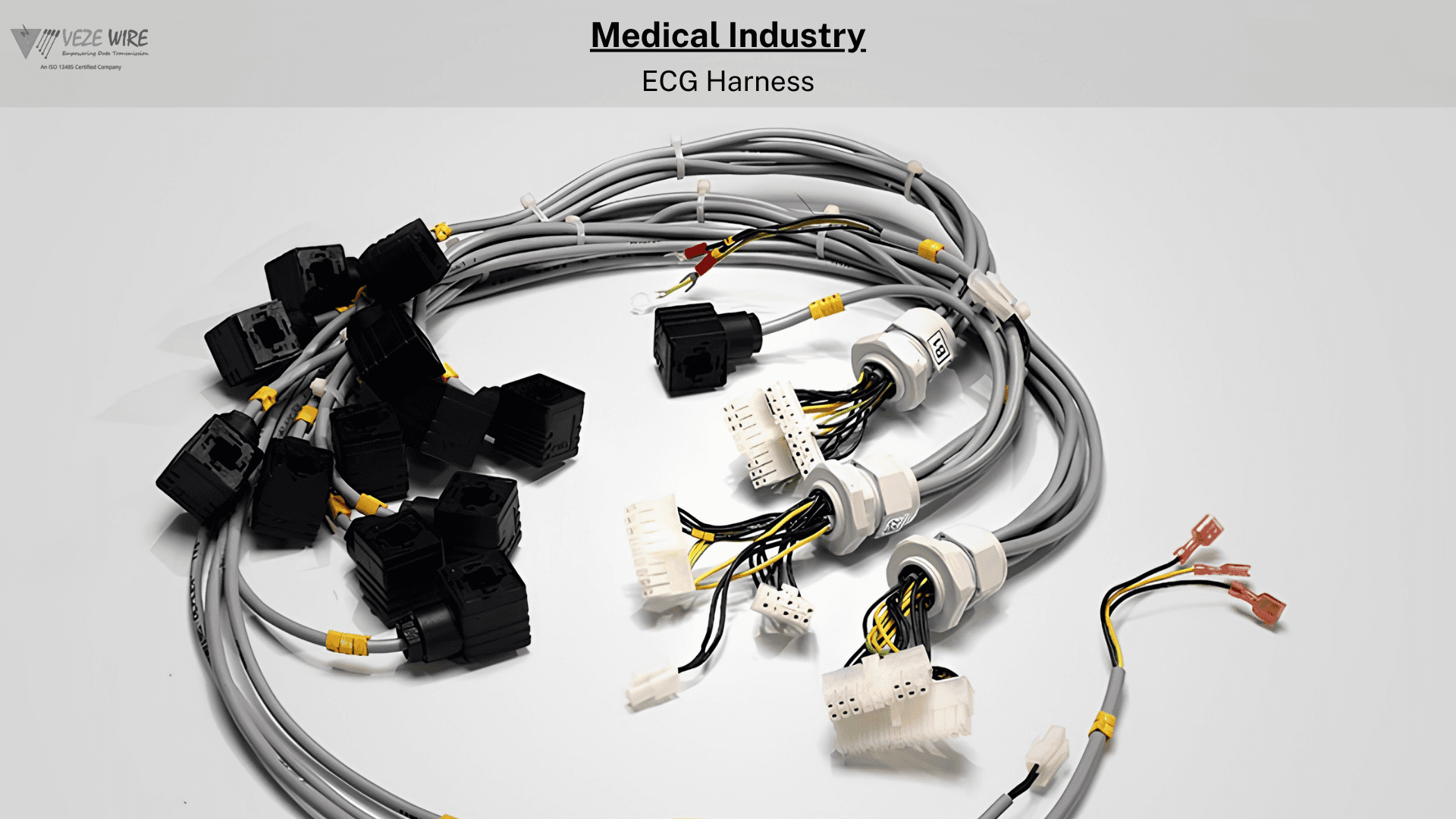 Medical ECG harness cable assembly with multi-pin connectors